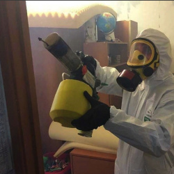 Уничтожение клопов в квартире. Проспект Мира 